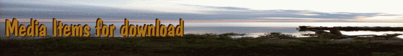 Media Items for download