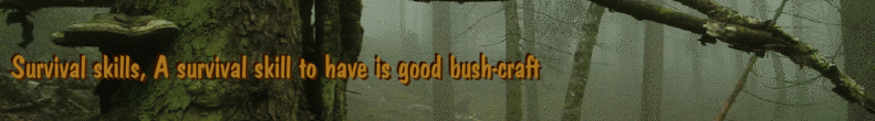 Survival skills, A survival skill to have is good bush-craft