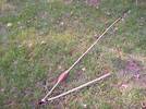 The Atlatl predates the bow and arrow