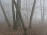 Bare Wilderness Survival Facts Bare Wilderness Survival Facts