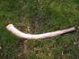 Protection against the Environment Hunting tools and weapons for wilderness survival