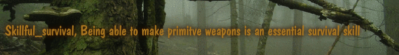 Skillful_survival, Being able to make primitve weapons is an essential survival skill