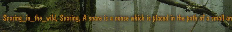 Snaring_in_the_wild, Snaring, A snare is a noose which is placed in the path of a small animal. When any animal passes through t